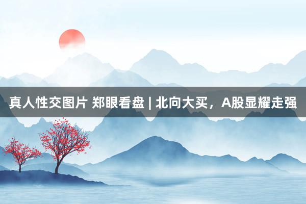 真人性交图片 郑眼看盘 | 北向大买，A股显耀走强