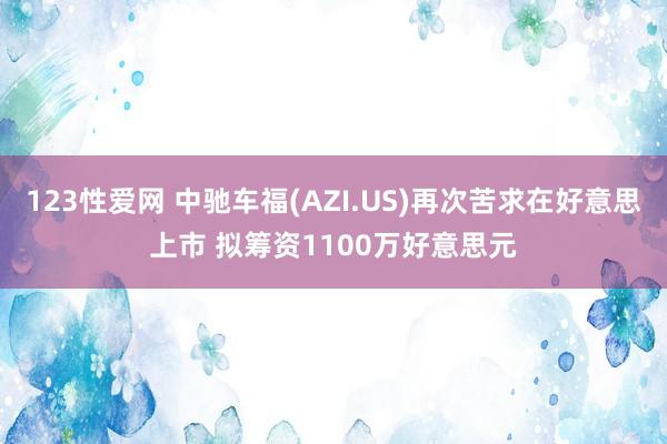 123性爱网 中驰车福(AZI.US)再次苦求在好意思上市 拟筹资1100万好意思元