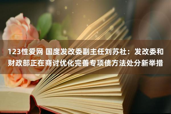 123性爱网 国度发改委副主任刘苏社：发改委和财政部正在商讨优化完善专项债方法处分新举措