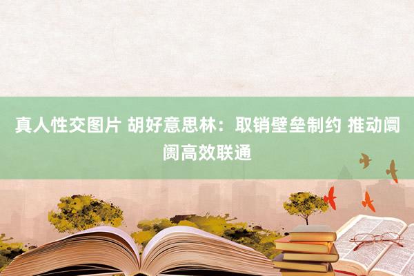 真人性交图片 胡好意思林：取销壁垒制约 推动阛阓高效联通