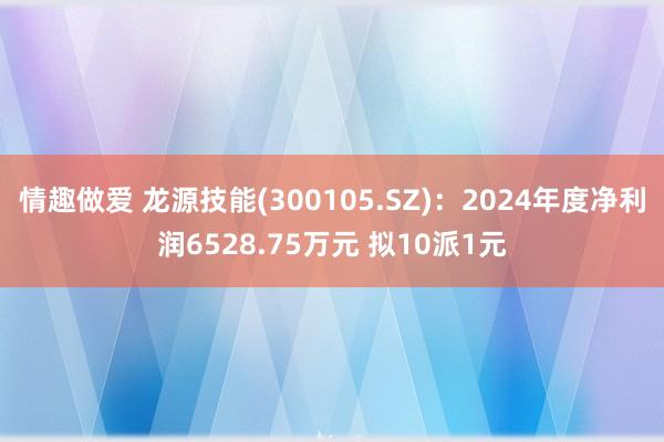 情趣做爱 龙源技能(300105.SZ)：2024年度净利润6528.75万元 拟10派1元