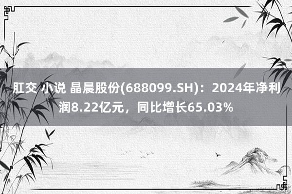 肛交 小说 晶晨股份(688099.SH)：2024年净利润8.22亿元，同比增长65.03%