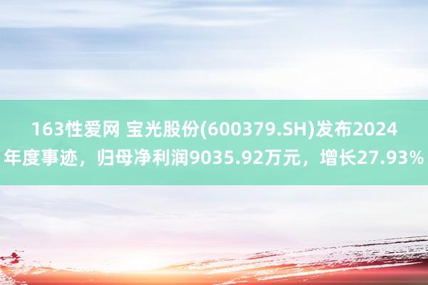 163性爱网 宝光股份(600379.SH)发布2024年度事迹，归母净利润9035.92万元，增长27.93%